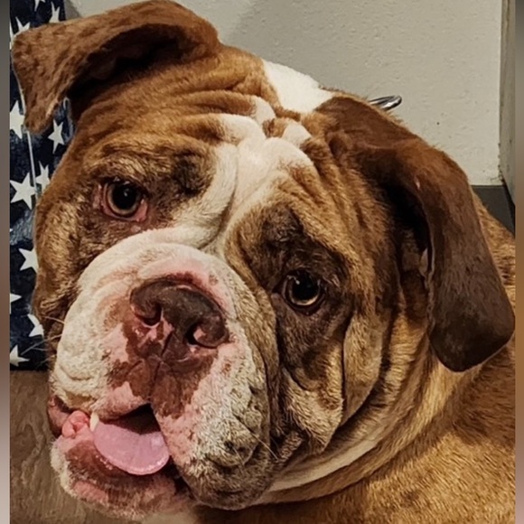 Meet your Posher, - Picture 3 of 3